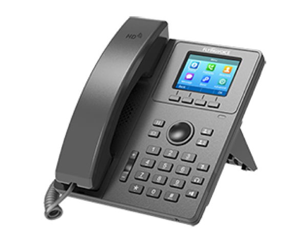 Flyingvoice P11